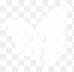 Altus Impact - environment and economics advisory png