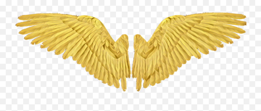 Gold Wing Wings Angel Angelwings Realistic Black Wings Png Gold Wings Png Free Transparent Png Images Pngaaa Com - golden wings roblox