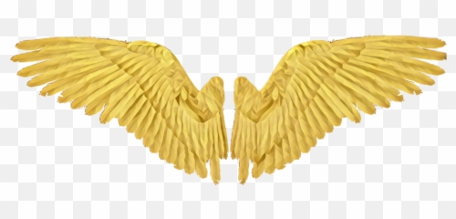 Gold Wing Wings Angel Angelwings - Realistic Black Wings Png,Gold Wings Png