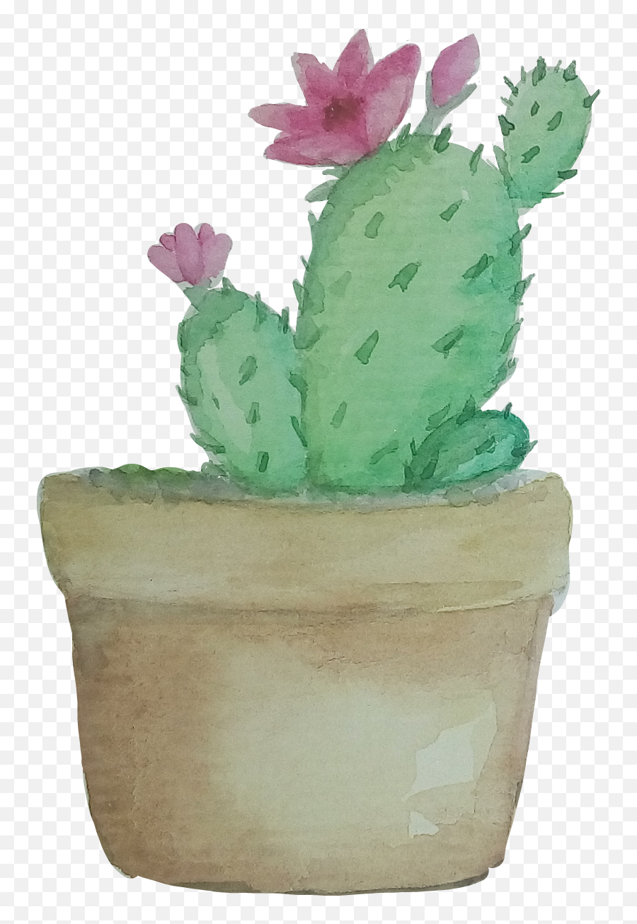Cacto Aquarela Catarinazs Report - Transparent Watercolor Cactus Succulent Png,Watercolor Cactus Png