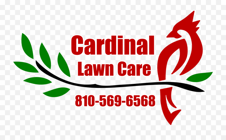 Snow Plowing - Cardinal Lawn Care 8105696568 Calligraphy Png,Snowfall Transparent