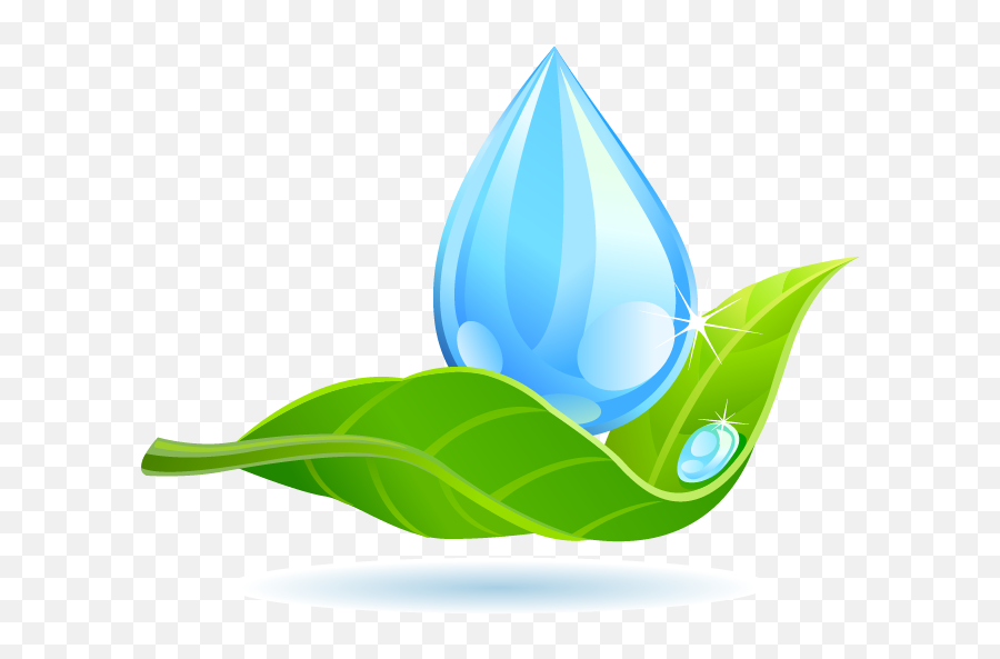 Download Free Water Drop Leaf Dew Png Hd Icon - Water Drop On Leaf Logo,Tear Drop Icon