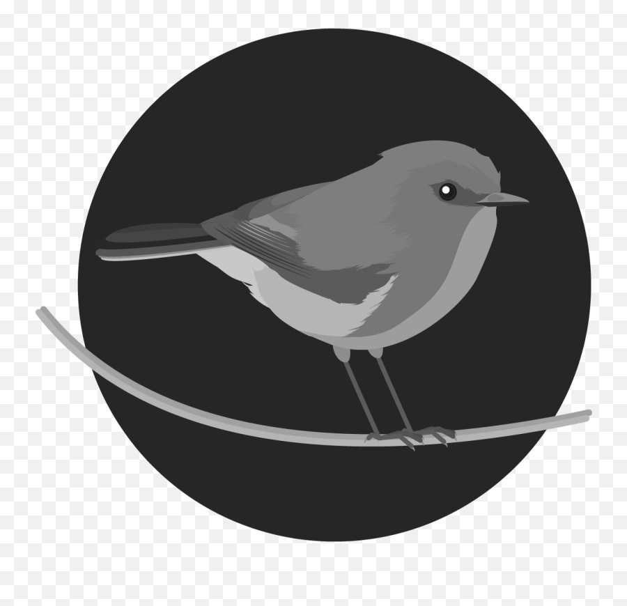 Graphics Bird Icons Grey Set 1 - Conjuntos De Datos Old World Flycatchers Png,Swallow Icon