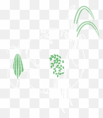 Our Science Pivot Bio Png