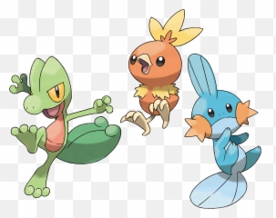 Treecko Torchic Mudkip Png