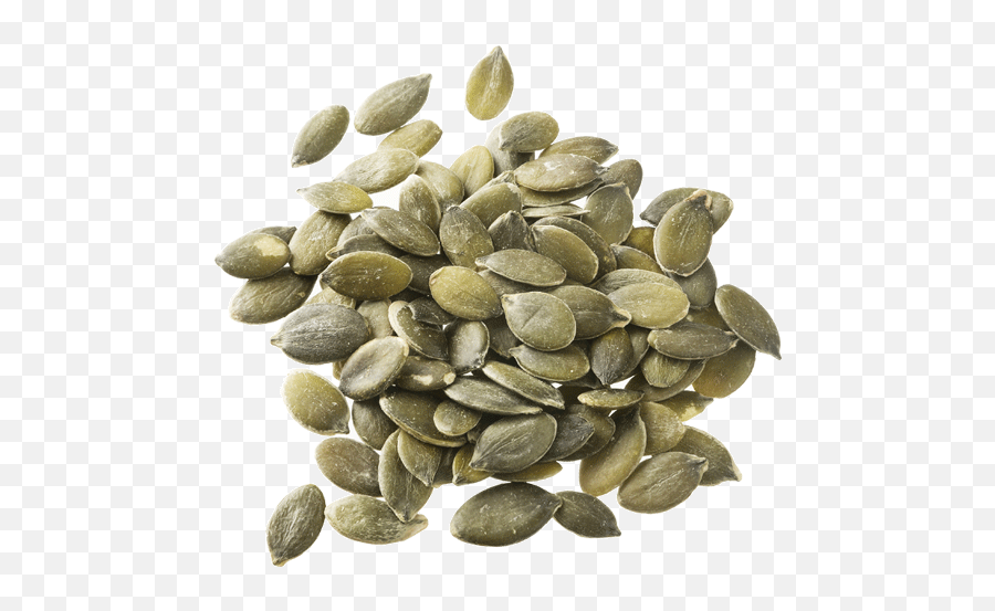 Download Pumpkin Seeds Png Pic - Chia Seed And Sesame Seed,Seed Png