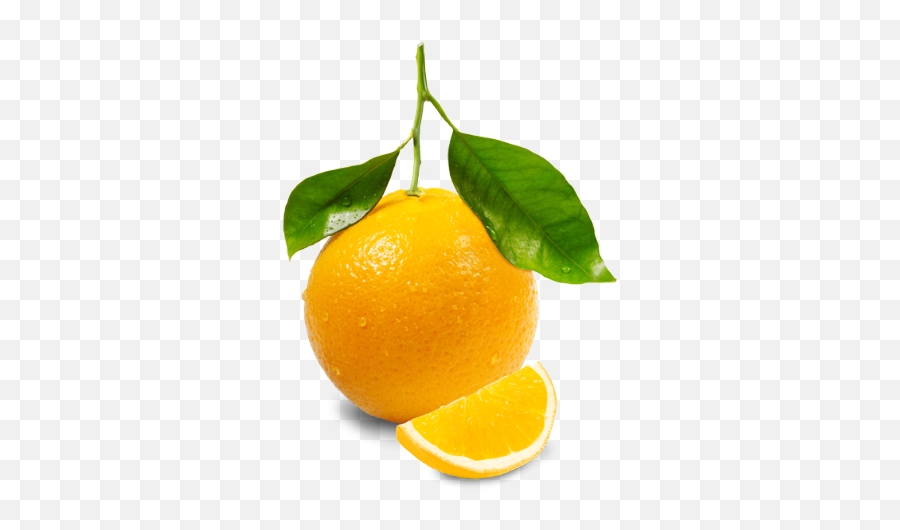 Orange Png Image Free Download - Png Orange Png,Orange Fruit Png