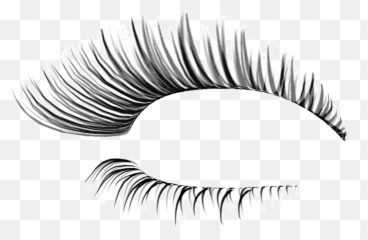 Transparent Background Eyelashes - Png