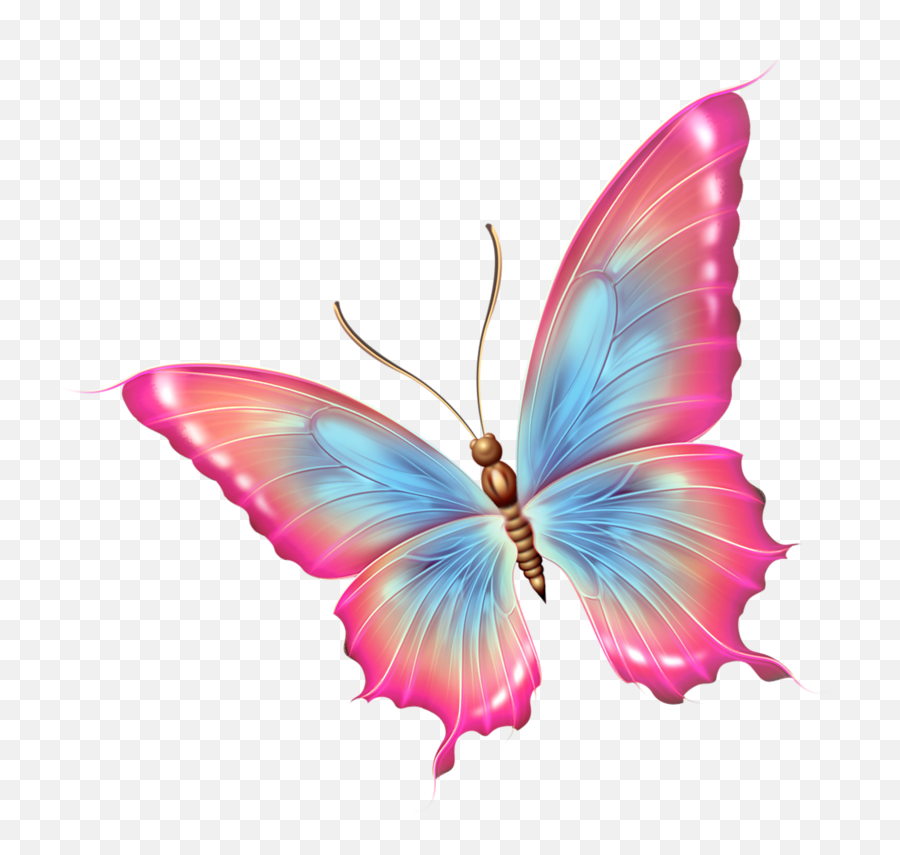 Download Papillons - Pink And Blue Butterfly Png Png Image Tatuajes De Mariposas Y Flores,Blue Butterfly Png