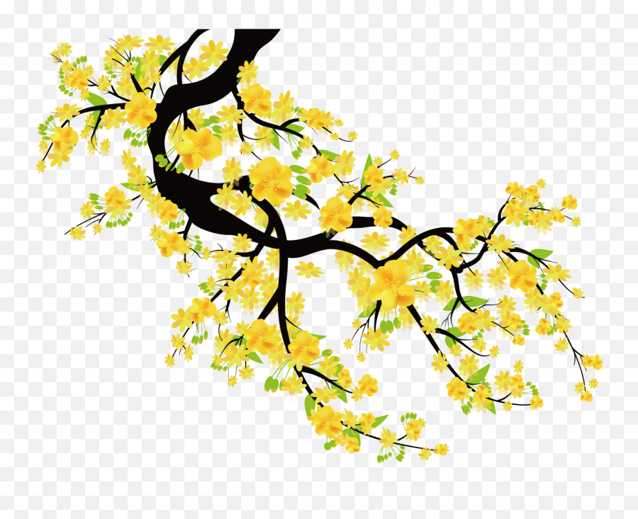 Cherry Blossom Clipart Yellow - Yellow Apricot Blossom Png,Blossom Png