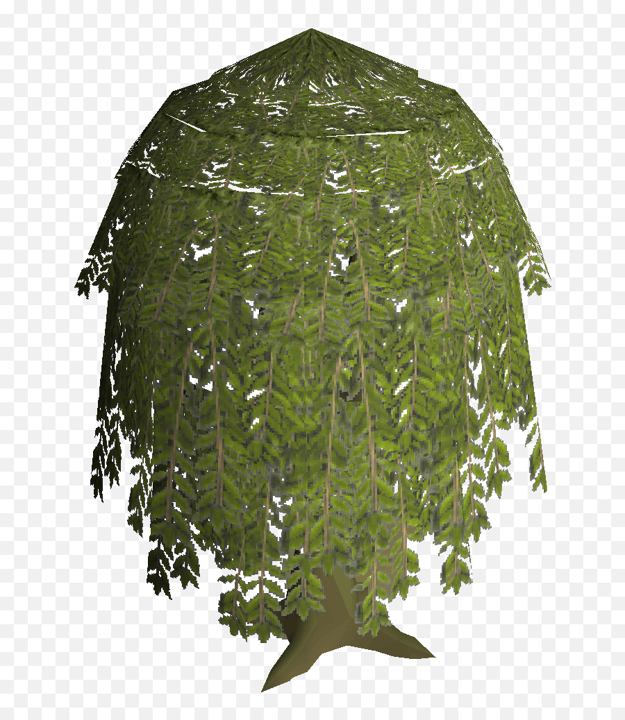 Willow Tree - Umbrella Png,Willow Tree Png