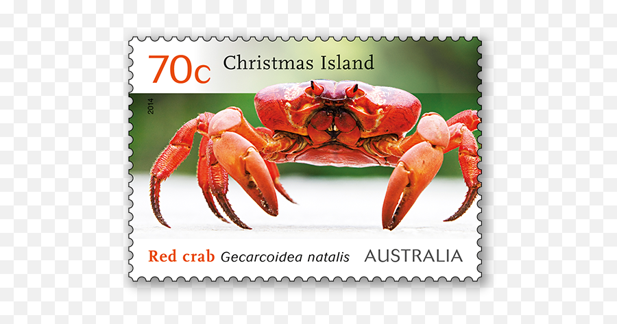 Christmas Island Red Crab Migration - Australia Post Crabs In Australia Christmas Islands Png,Crab Transparent
