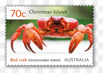 Christmas Island Red Crab Migration - Australia Post Crabs In Australia Christmas Islands Png,Crab Transparent