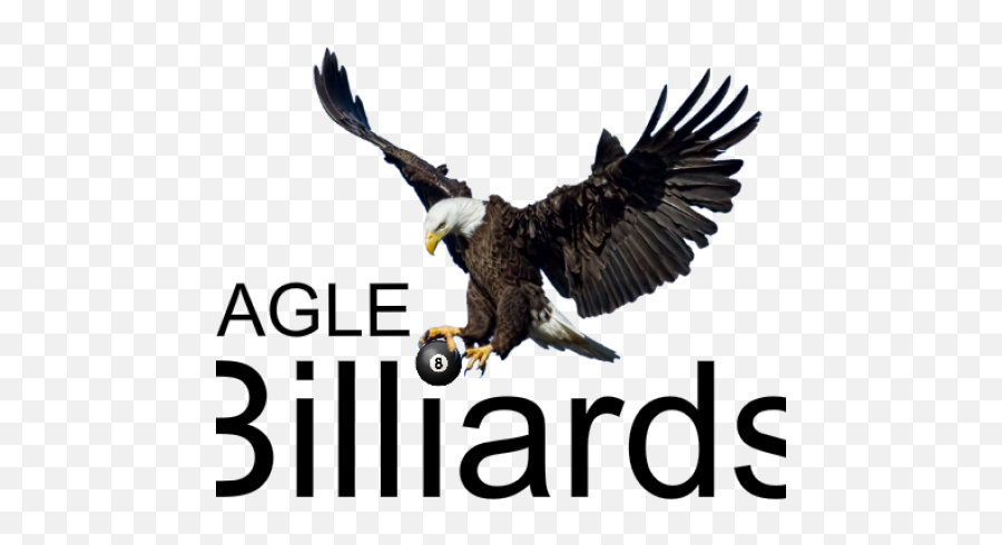Apa Eagle Logo Png Transparent Logopng Images - Love Allama Iqbal Poetry,Bald Eagle Png