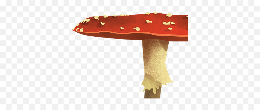 Toadstool By Chelsey L Oliver - Agaric Png,Toadstool Png