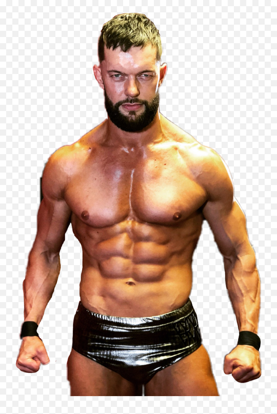 Wwe Png Transparent Group Finn Balor