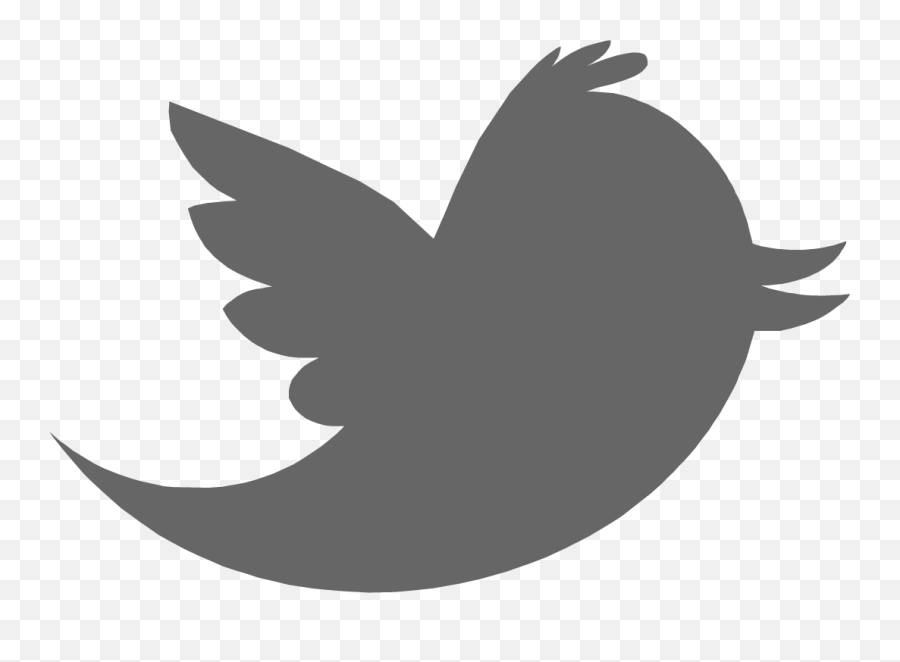 Twitter Bird U2014 Sarah K Peck - Twitter Logo For Photoshop Png,Twitter Bird Transparent