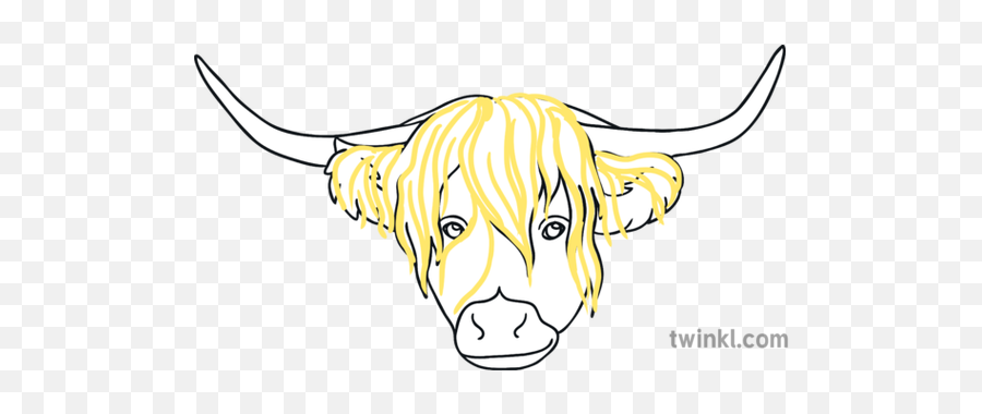 Step 2 Highland Cow Head Steven Brown Ks1 Illustration - Twinkl Clip Art Png,Cow Head Png