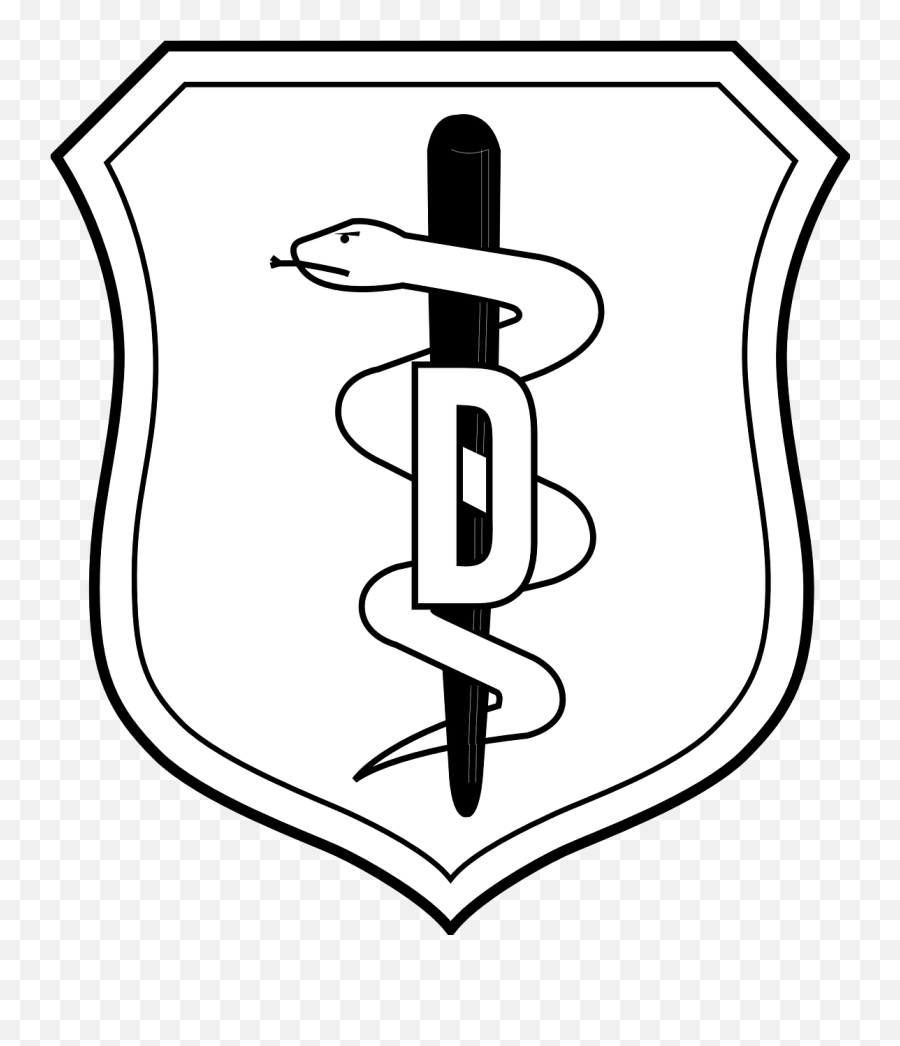 Download Air Force Dental Logo Hd Png - Uokplrs Air Force Bsc Badge,Air Force Logo Vector