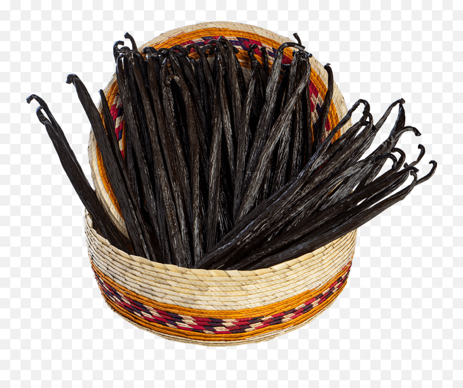 Vanilla Beans - Storage Basket Png,Vanilla Bean Png