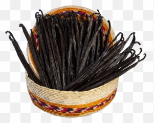 Vanilla Beans - Storage Basket Png,Vanilla Bean Png