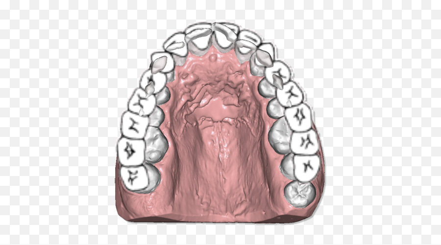 Dental - Lion Png,Arch Png