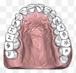 Dental - Lion png