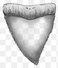 Download Hd Sharp Teeth Png - Vertical,Sharp Teeth Png
