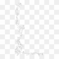 Invitation Borders - Floral Black And White png