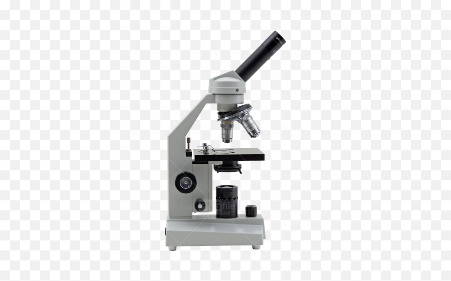 Microscope Png Free Download - Philip Harris Microscope,Microscope Png
