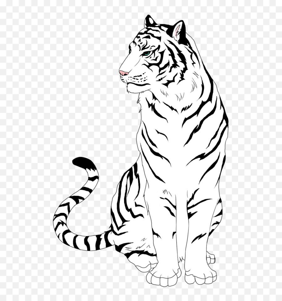 Tigers Drawing Tiger Cub Transparent U0026 Png Clipart Free - Draw A White Tiger,White Tiger Png