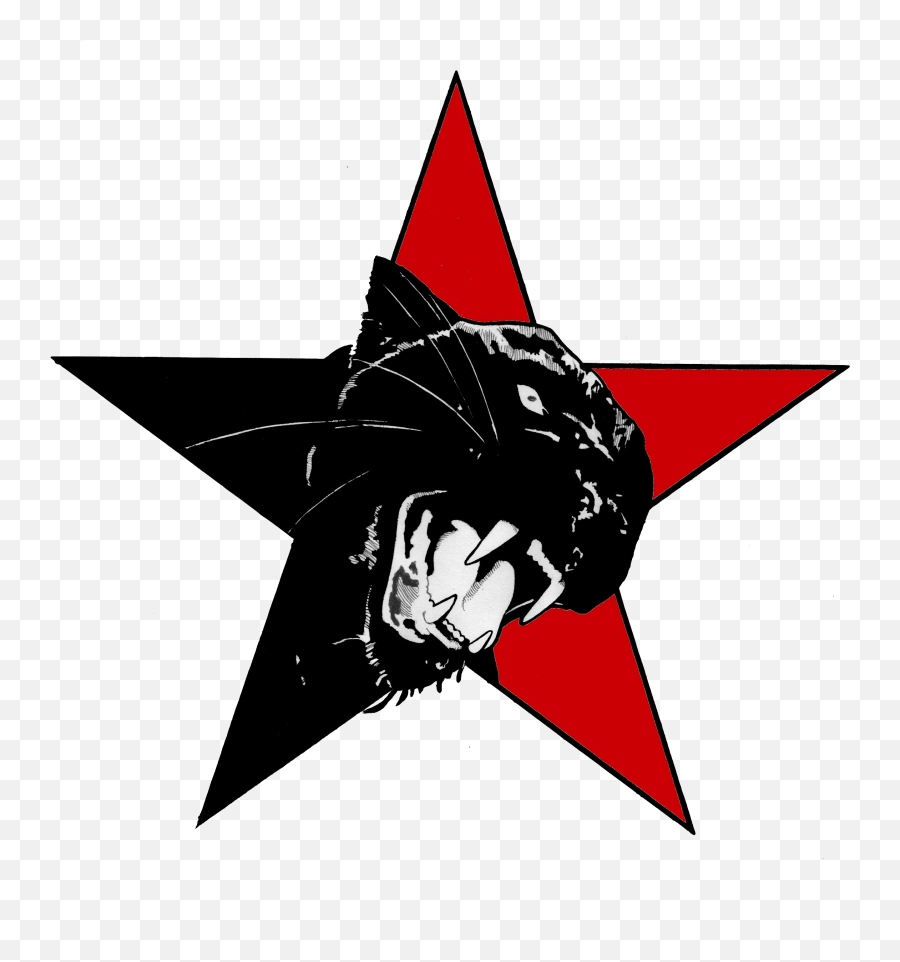 Emblem Of The New Afrikan Black Panther - Esperanto Flag Png,Black Panther Party Logo