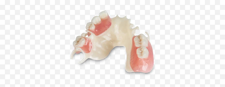 Index Of - Dinosaur Png,Dentures Png