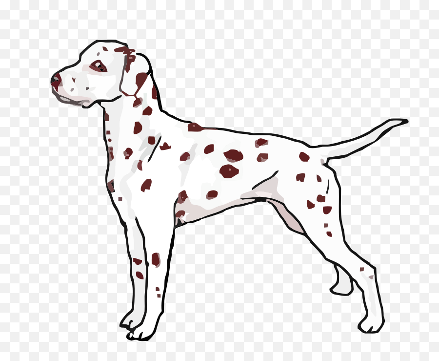 Liver Dalmatian Standing - Openclipart Dot Png,Dalmatian Png