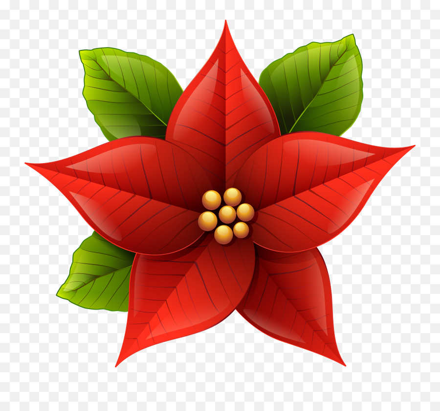Transparent Background Christmas - Flowers For Christmas Clipart Png,Poinsettia Icon Png