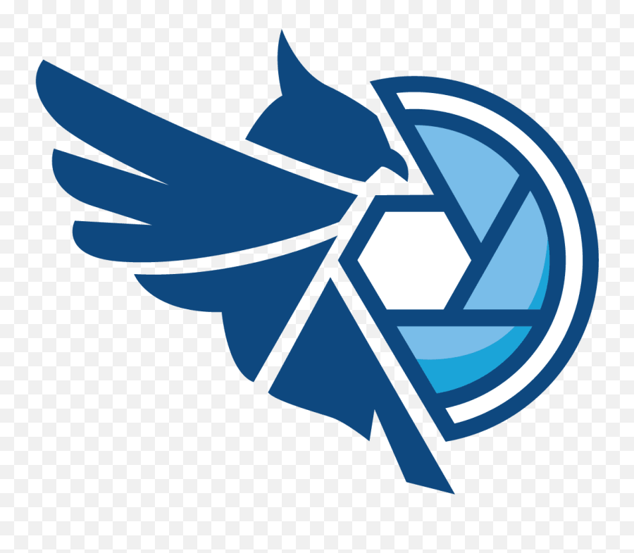 Work Examples U2013 Featherston Drone Services - Language Png,Team Valor Icon