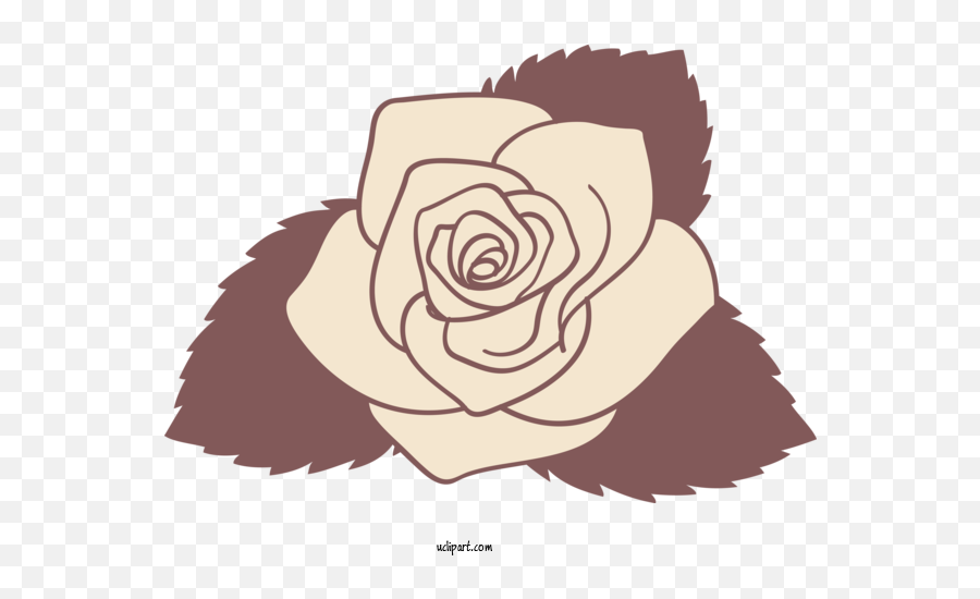 Flowers Rose Line Art Black And White For - Rose Rose Drawing Day Png,Black Rose Icon