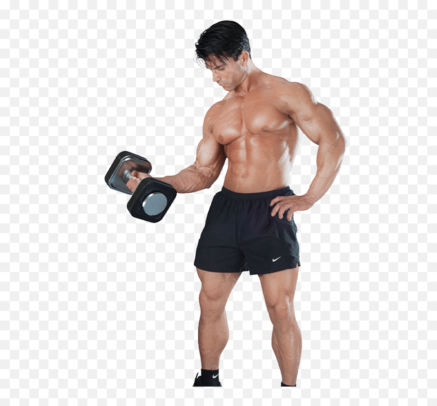 Ironmaster - The Best In Home Gym Weight Lifting Equipment Dumbbell Png,Weider Pro 2990 Icon Multi Gym