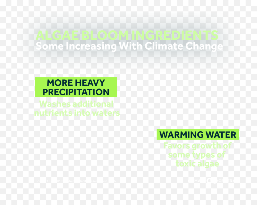 Climate Matters - Colorfulness Png,Algae Png