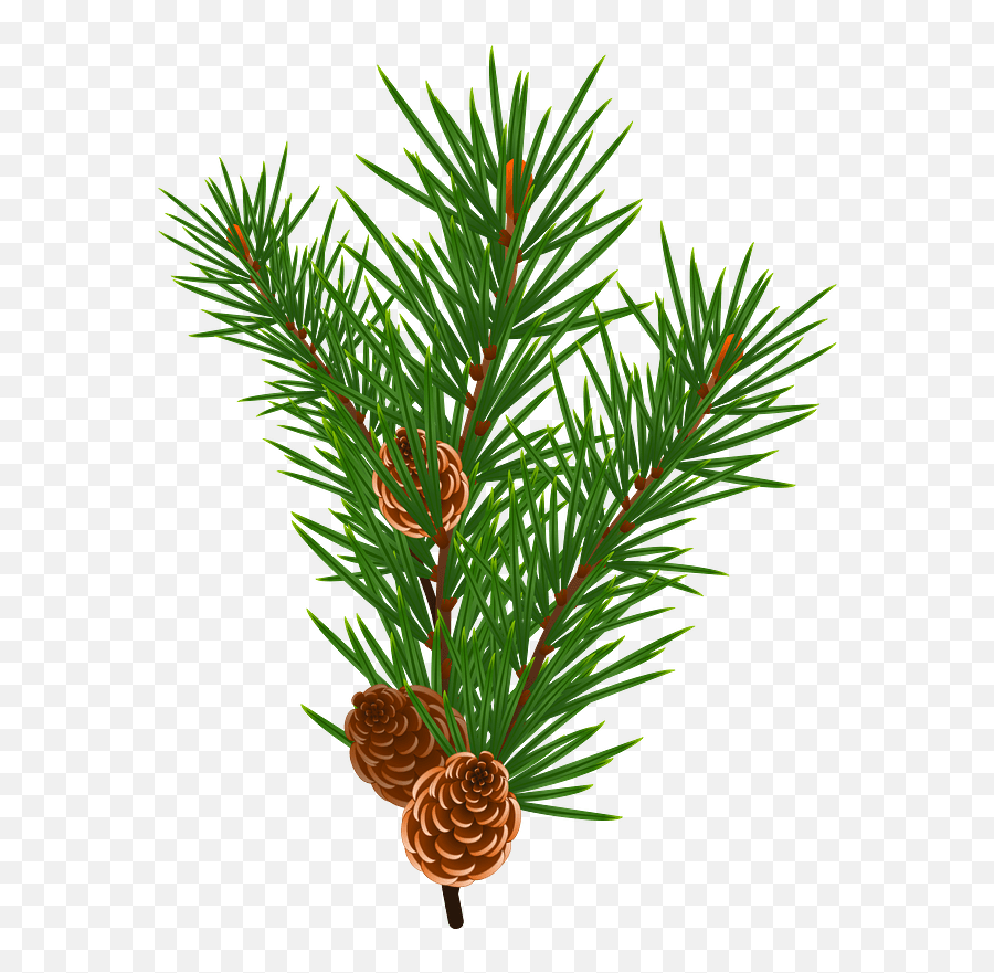 Download Christmas Pine Cone Free Transparent Image Hq - Pine Cone Vector Png,Pine Cone Icon