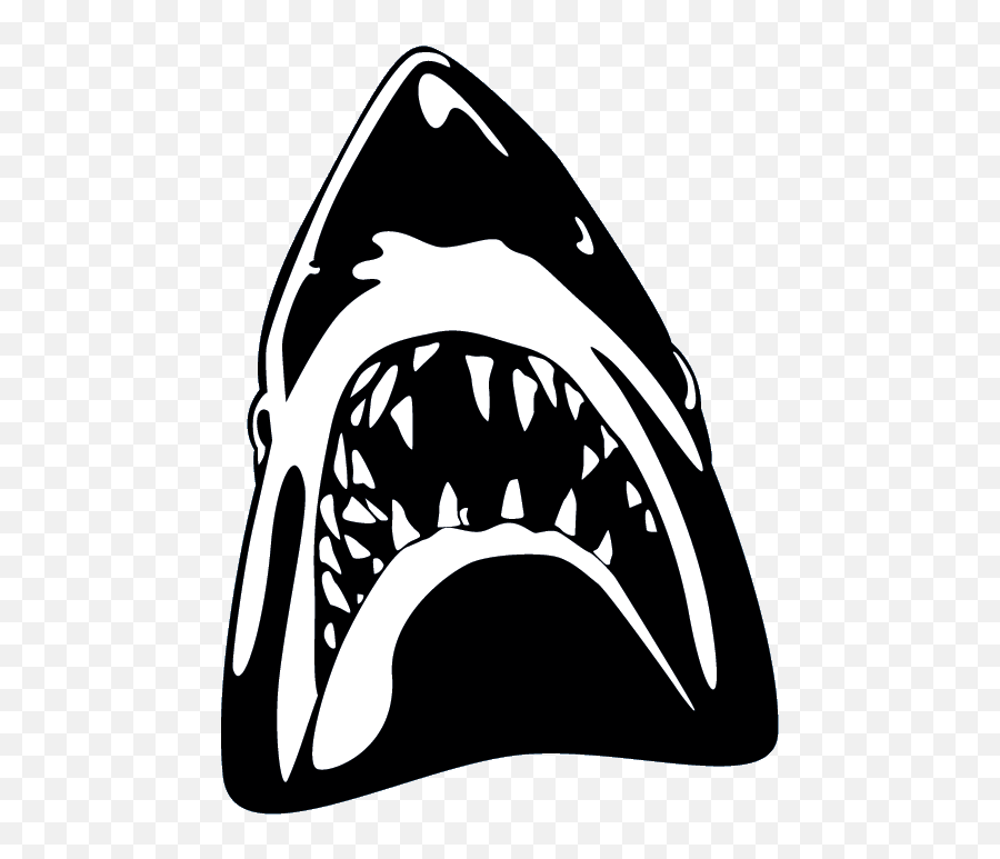 Download Sharks - Shark Png Image With No Background Shark White Transparent Png,Sharks Png