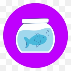 Home - Highray Pools Aquarium Fish png