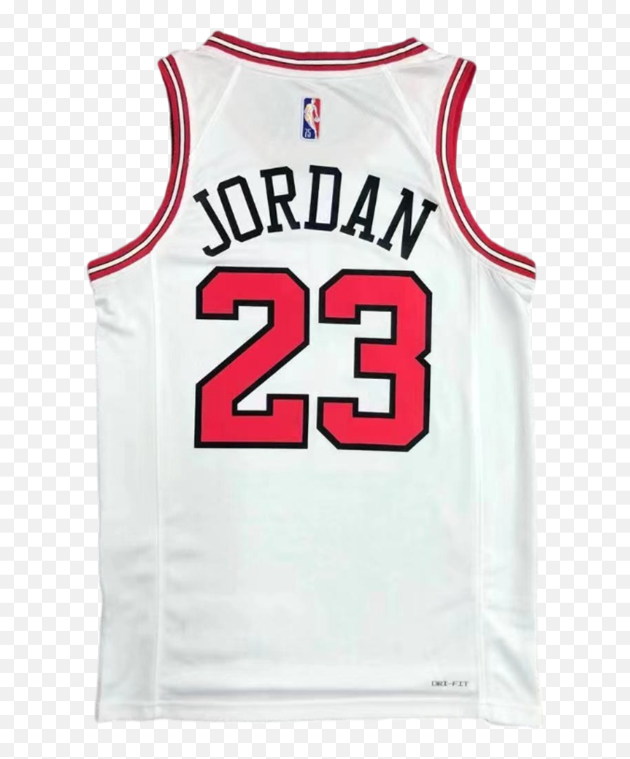 Nba Swingman Jersey Michael Jordan 23 Chicago Bulls Icon - Michael Jordan 1995 Game Used Jersey Png,Icon Edition