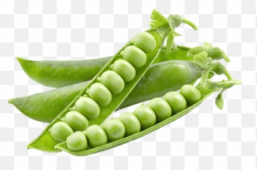 Green Peas Vatana Png
