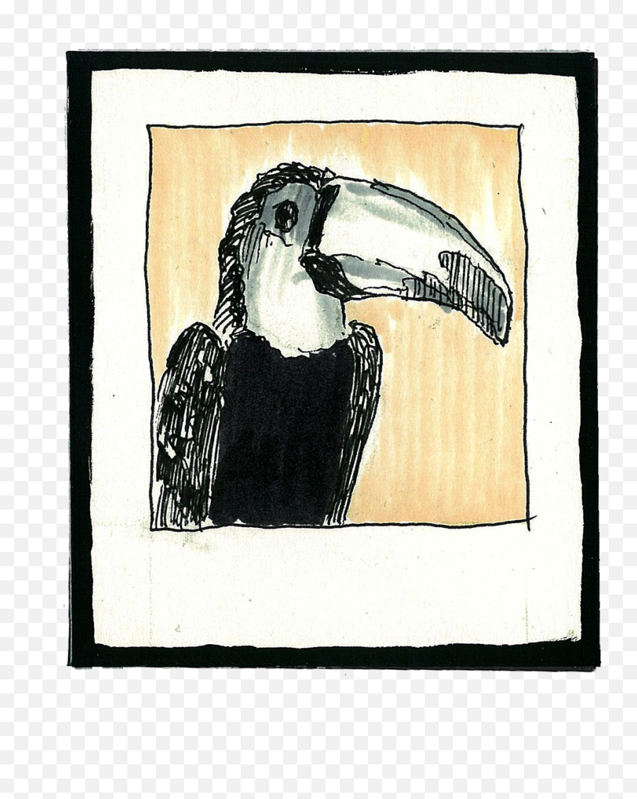 Toco Tucan - Hornbill Png,Tucan Png