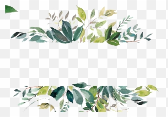 Wedding Flowers Png - Watercolor Leaf Border