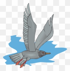 Seagulls Flying Png - Gull Seagull Seagull Flying Png Image Gull,Seagulls Png