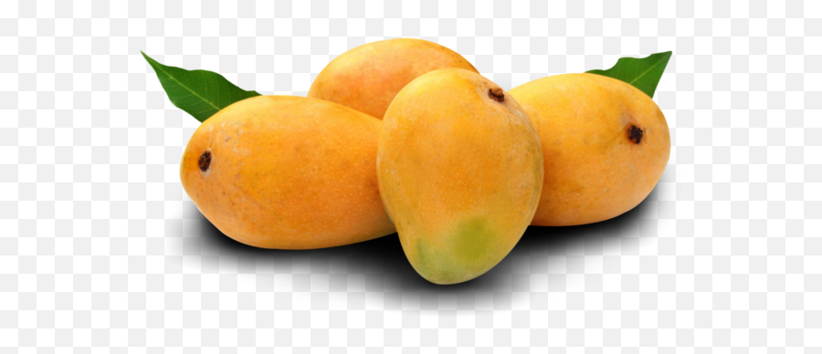 Alphonso Mango Png 1 Image - Mango Images Of Fruits,Mango Transparent Background