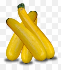 Zucchini - Zucchini Png,Zucchini Png