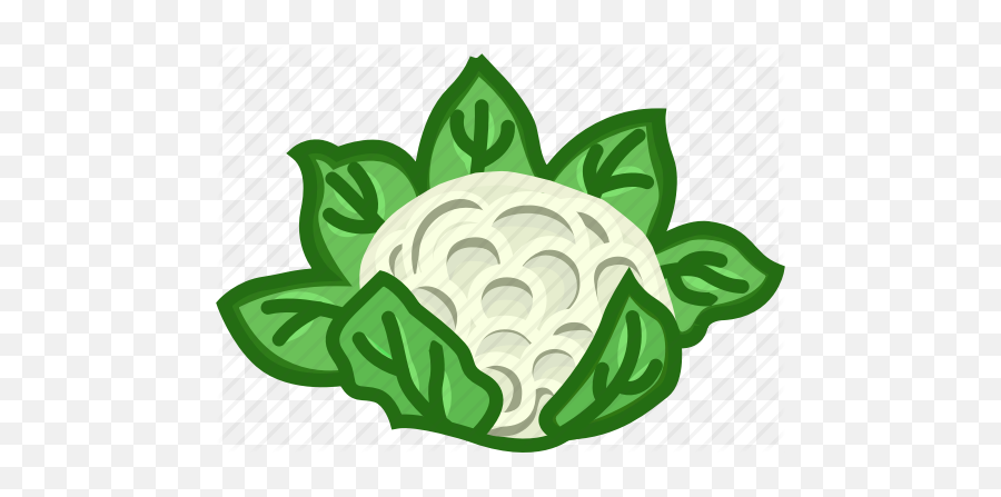 U0027solid Vegetables Coloredu0027 By Nimblechapps - Illustration Png,Cauliflower Png